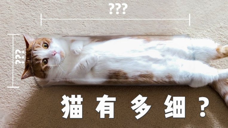 花呗天猫秒套 平台可靠吗