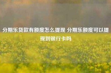 分期乐如何高效提现