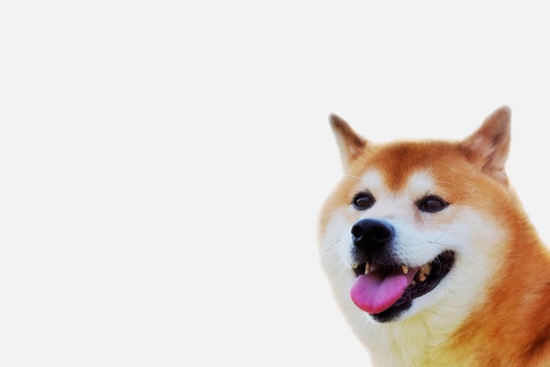京东白条怎么提现