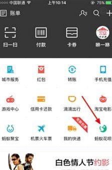 花呗平台：用法与安全指南