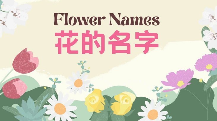 享花卡可以提现吗