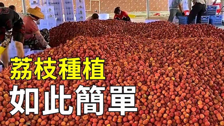 便荔卡可以提现吗