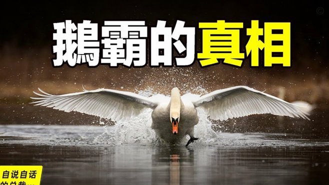 为什么得物的余额只能提现