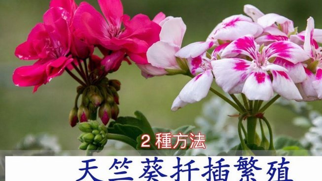 套现花呗平台怎么样