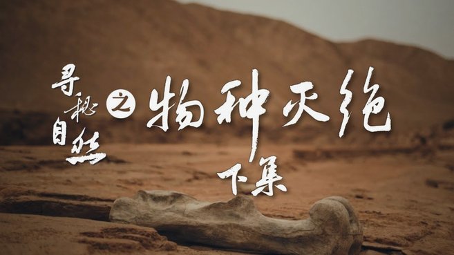 得物余额提现提示身份已用