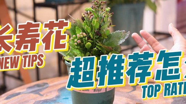 怎么套花呗?