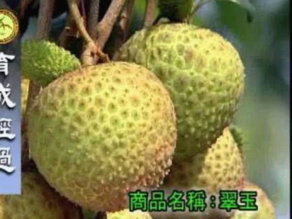 便荔卡包购物额度怎么套出来