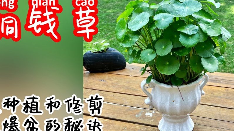花呗额度怎么提升？