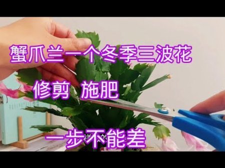 拿去花卡怎么用