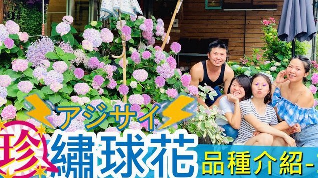 拿去花能套现吗？正确购买指南