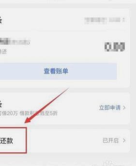 白条借款额度管理与还款指南