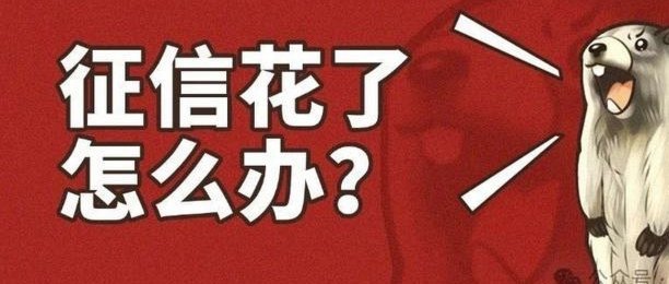 秒用花是否上征信？快速审批背后的隐患