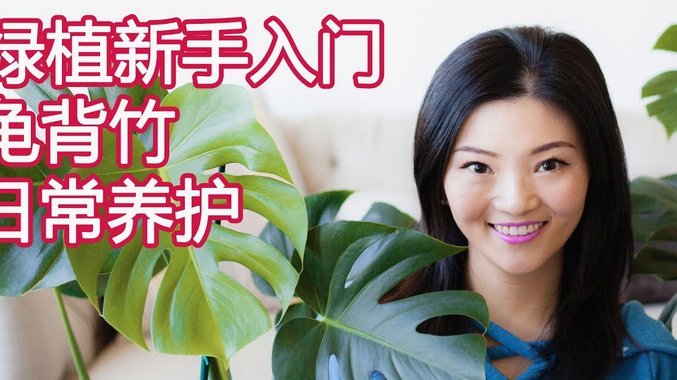 套现商家的崩溃真相