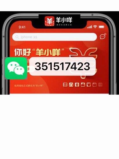 羊小咩逾期不还怎么办？