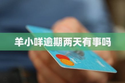 羊小咩逾期不还会怎么样