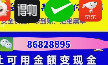 羊小咩申请额度填写多少