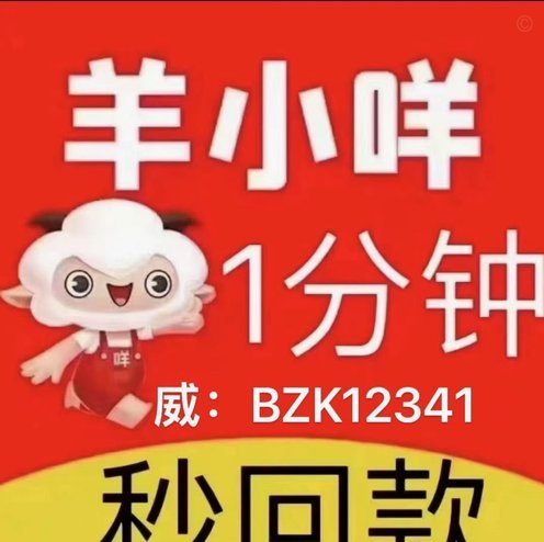 羊小咩额度取现：商家安全你了解吗？