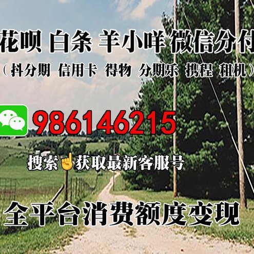 羊小咩购物额度如何提升？这篇攻略帮你搞定