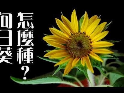 花呗怎么套现好