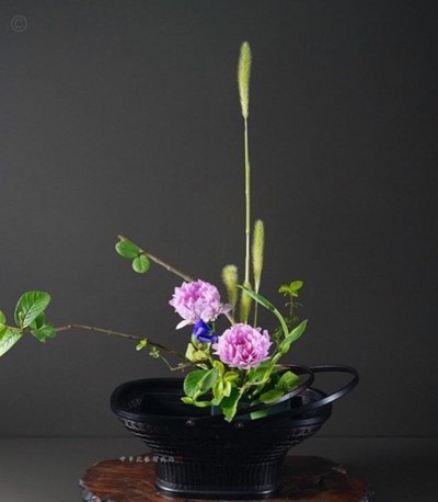 花呗提现技巧：信用管理与风险控制