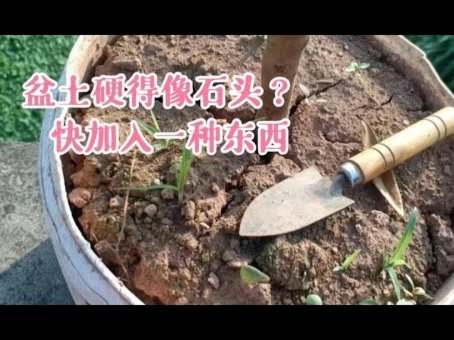 携程“拿去花”到底好不好用？全方位测评！