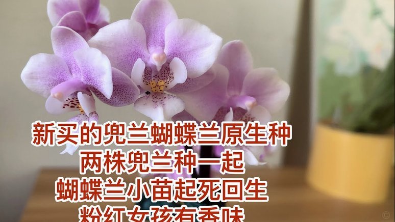 携程拿去花套现几个点 出来的钱
