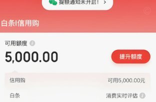 白条取现秒到账背后的机制与风险