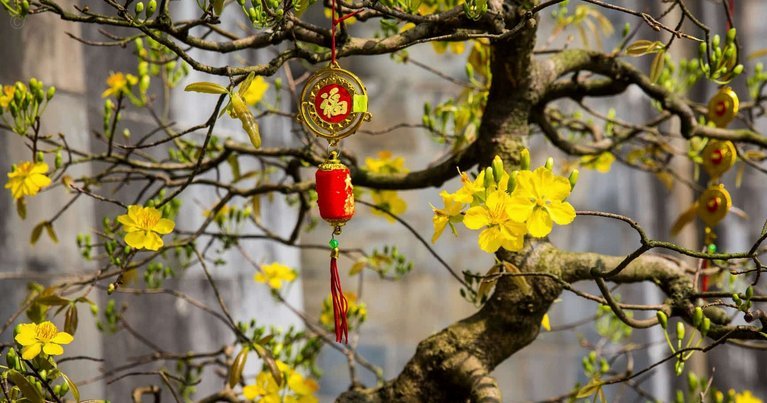 花呗的可怕之处