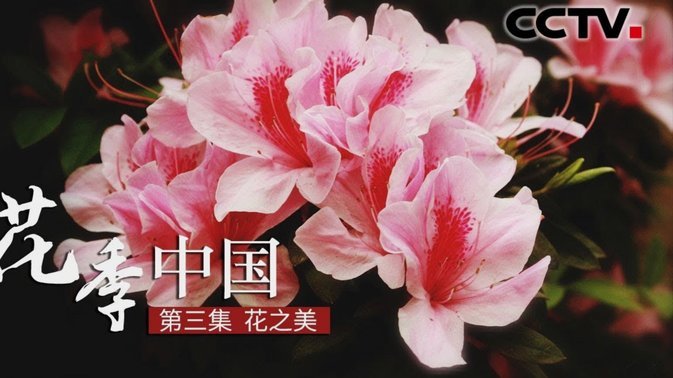 花呗的可怕之处