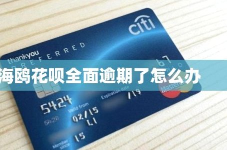 海鸥花呗平台如何突围？