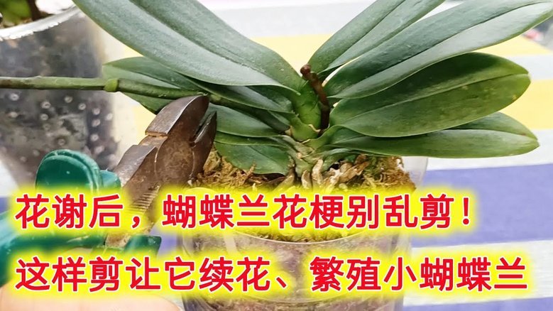 携程“花”没了：一场信任危机的深层剖析