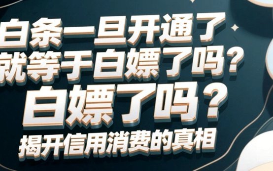白条平台大揭秘：京东、蚂蚁花呗等强势登场