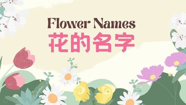 花呗合法吗？看完不踩坑！
