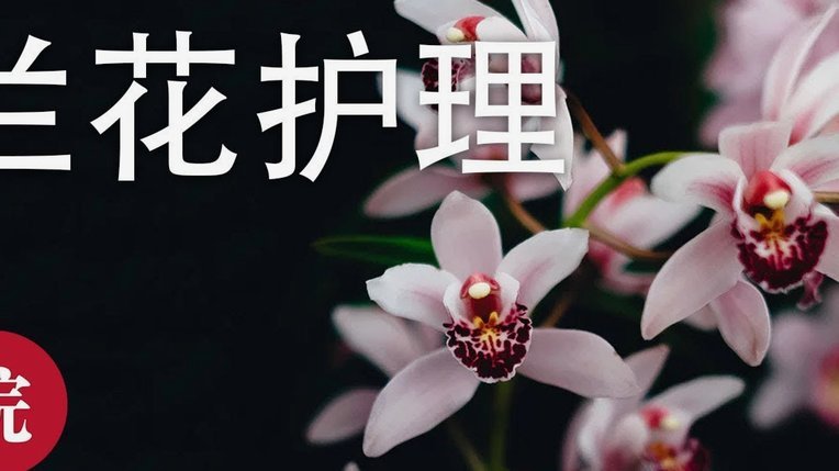 花呗这个平台合法吗知乎是真的吗