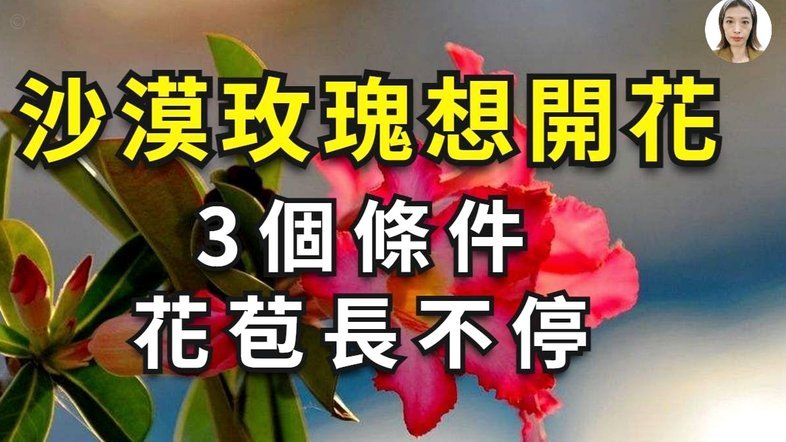 没有商家码，还能用花呗收款吗