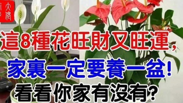 没有商家码能收花呗吗