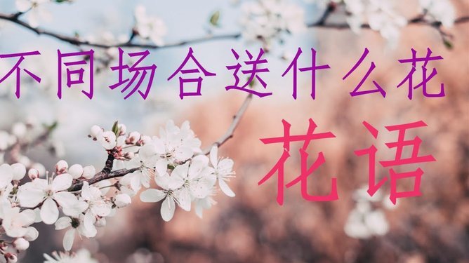 花呗套现风险揭秘：从被发现到如何规避？