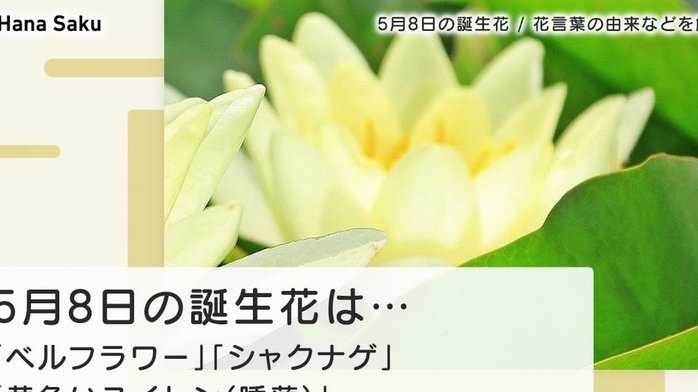 花呗零手续费攻略：如何省下更多钱？