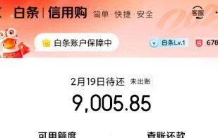 京东白条哪里提现