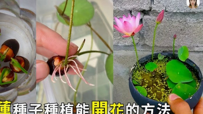 花呗额度不足时分付如何切换使用