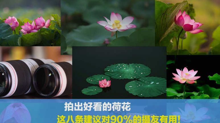 分付有额度如何使用花呗