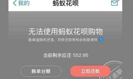 花呗现象 怎么解决