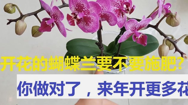 拿去花能套出来吗是真的吗