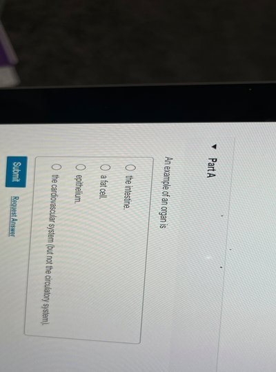 花呗平台靠不靠谱？专业深度测评看懂真相