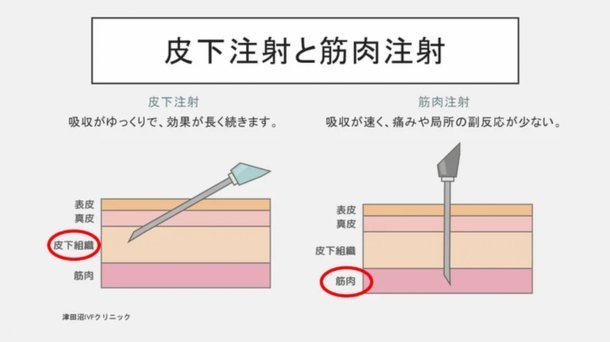 分期乐取现全解析：操作流程、额度限制与注意事项