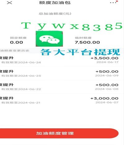如何合法提高白条额度至15960855