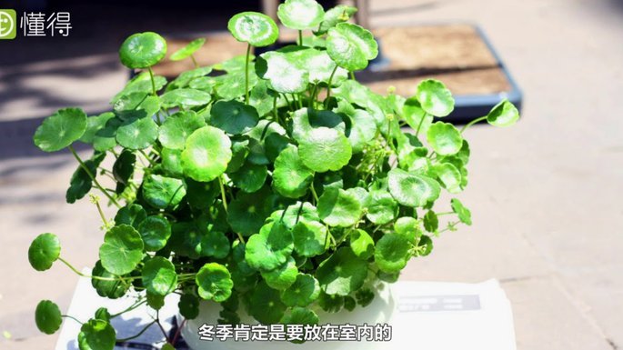 额度提现：高效周转资金利器