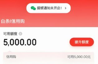 掌握白条额度提升技巧