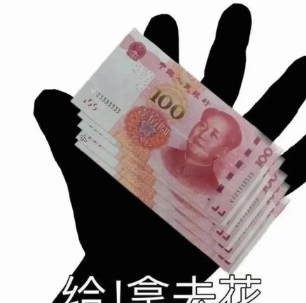 花套的智慧：保护与美的平衡