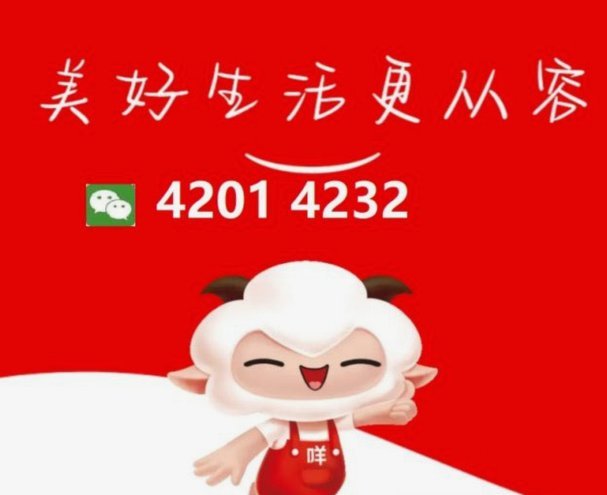 给你的绵羊取个可爱的名字